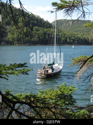 Ein schwarzer Segelboot verankert im Tal Cove im Fjord Somes Sound, Maine, USA. Stockfoto