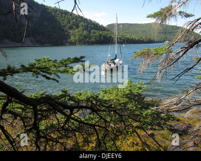 Ein schwarzer Segelboot verankert im Tal Cove im Fjord Somes Sound, Maine, USA. Stockfoto