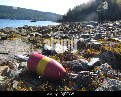 A angespült Hummer Boje im Fjord Somes Sound, Maine, USA Stockfoto