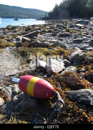 A angespült Hummer Boje im Fjord Somes Sound, Maine, USA Stockfoto