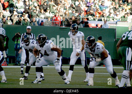 14. November 2004; New York, NY, USA; NFL Football - NY Jets Vs Baltimore Ravens auf riesigen Stadion in New York City. Raben, gewann das Spiel mit 20-17 Stockfoto