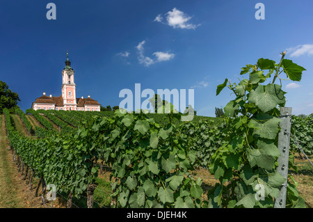 Wallfahrtskirche Birnau, Unteruhldingen, Baden-Württemberg, Deutschland Stockfoto