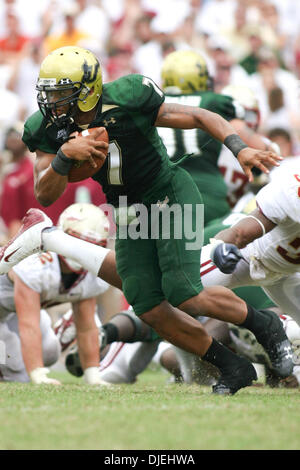 13. Januar 2004 - Tallahassee, Florida, USA - 26. September 2009: South Florida quarterback BJ Daniels (7) klettert im ersten Quartal. Die University of South Florida Bulls gewann 17-7 in diesem Mittag Spiel im Doak S. Campbell Stadium in Tallahassee, FL. (Credit-Bild: © Southcreek Global/ZUMApress.com) Stockfoto