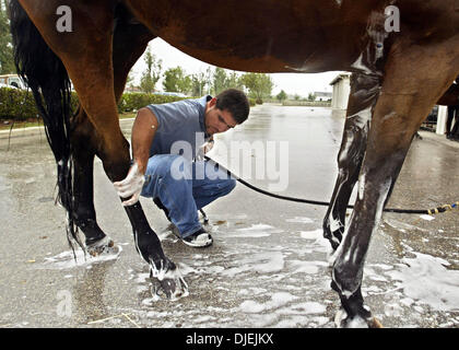 29. November 2004; Wellington, FL, USA; Bräutigam NACHO CARDANAS Seifen, Marcy, ein deutsches Warmblut, an einem der Stallungen auf dem Gelände der bevorstehenden 121. National Horse Show in Wellington. Die Show, die in der Palm Beach Polo Reitklub stattfindet, läuft vom 30. November bis 5 Dez mit dem Wettbewerb auf den Jumper, Jäger und Reitsport-Divisionen. Stockfoto