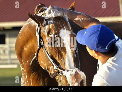 29. November 2004; Wellington, FL, USA; Bräutigam RAMON BELASKZ, gibt ein Bad, um Dynamik, ein Jäger, der Vorbereitung in der 121. National Horse Show konkurrieren bei geführt Wellington November 30-Dezember 5 Belaskz kümmert sich derzeit drei Pferde. Stockfoto