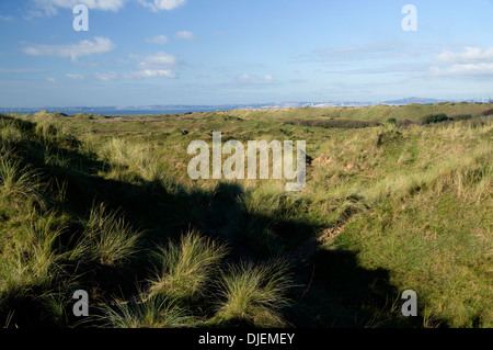 Qualitätsorientierung National Nature Reserve, in der Nähe von Port Talbot, South Wales. Stockfoto