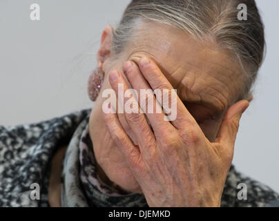 München, Deutschland. 27. November 2013. Der Führer des Ausschusses "Schwabinger Kunst Entdeckung", Ingeborg Berggreen-Merkel, sitzt während der Ausschuss für öffentliche Konferenz im Bayerischen Landtag in München, Deutschland, 27. November 2013. Zum ersten Mal die Kunstkommission befasst sich mit der Entdeckung der Kunstwerke in der Wohnung von Cornelius Gurlitt, den Sohn von einem Kunsthändler während des NS-Regimes, im Frühjahr 2012. Foto: Peter Kneffel/Dpa/Alamy Live News Stockfoto