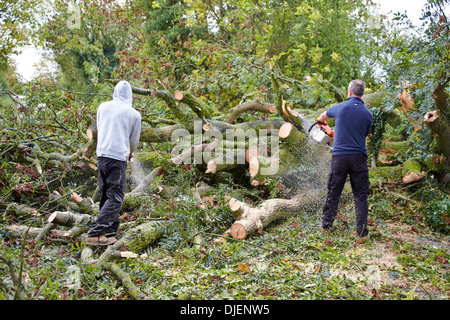 Zwei Männer verwenden Kettensägen, um einen umgestürzten Baum blockiert Straße löschen Stockfoto