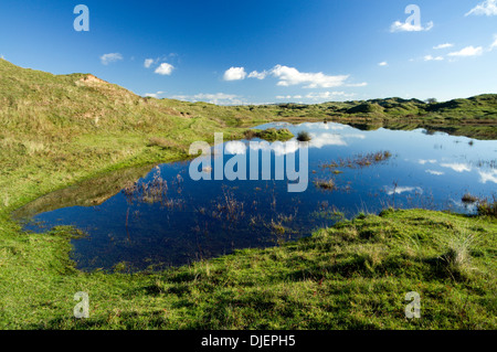 Überfluteten Düne Slack, Qualitätsorientierung National Nature Reserve in der Nähe von Port Talbot, South Wales. Stockfoto