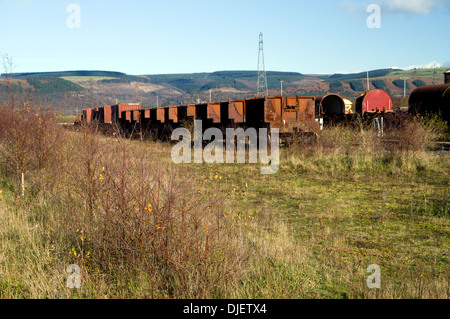 Alte rostige Eisenbahn LKW auf Abstellgleis, Margam Moor, Port Talbot, South Wales. Stockfoto