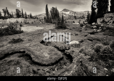 Kleiner Bach und Wiese mit Kappe Adlerberg. Eagle Cap Wildnis, Oregon Stockfoto