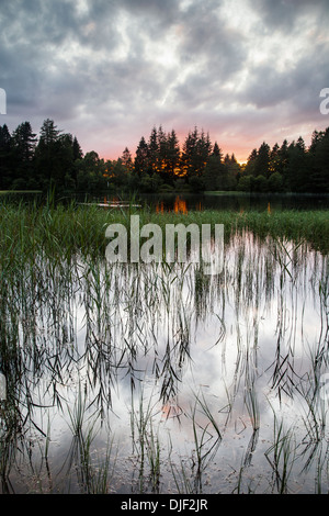 Queens Loch in Aboyne In Aberdeenshire, Schottland. Stockfoto