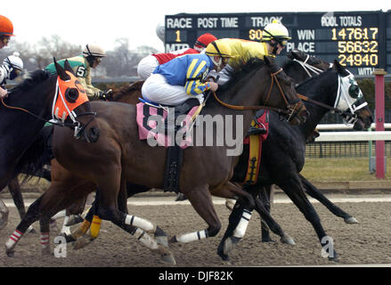 2. Februar 2008 - South Ozone Park, Queens, NY, USA - Pferde brechen aus dem Tor zu Beginn des 1. Rennens. Winter-Rennen auf dem Aquädukt Racecourse in South Ozone Park, Queens, NY. Aquädukt, auch bekannt als die "Big A", eröffnet am 27. September 1894 in Queens. Im Jahre 1941 wurden ein neues Clubhaus und Track Büros gebaut. Die Strecke wurde im Jahre 1956 abgerissen und das neue "Big A" 1959 eröffnet. In 1975 th Stockfoto