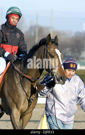 2. Februar 2008 - South Ozone Park, Queens, NY, USA - Pferde verlassen die Spur nach einem Training heute Morgen. Winter-Rennen auf dem Aquädukt Racecourse in South Ozone Park, Queens, NY. Aquädukt, auch bekannt als die "Big A", eröffnet am 27. September 1894 in Queens. Im Jahre 1941 wurden ein neues Clubhaus und Track Büros gebaut. Die Strecke wurde im Jahre 1956 abgerissen und das neue "Big A" 1959 eröffnet. Im Jahr 1975 die Stockfoto