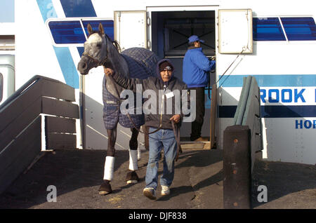 2. Februar 2008 - South Ozone Park, Queens, NY, USA - Pferde kommen in die Überwachung Scheune entlang der Gegengerade für heutige Rennen am Aquädukt. Winter-Rennen auf dem Aquädukt Racecourse in South Ozone Park, Queens, NY. Aquädukt, auch bekannt als die "Big A", eröffnet am 27. September 1894 in Queens. Im Jahre 1941 wurden ein neues Clubhaus und Track Büros gebaut. Die Strecke wurde im Jahre 1956 abgerissen und neu " Stockfoto