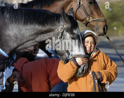 2. Februar 2008 - South Ozone Park, Queens, bekommt NY, USA - Bräutigam Eva Rivera mit einem Pferd als es ein Bad heute Morgen auf der Gegengerade. Winter-Rennen auf dem Aquädukt Racecourse in South Ozone Park, Queens, NY. Aquädukt, auch bekannt als die "Big A", eröffnet am 27. September 1894 in Queens. Im Jahre 1941 wurden ein neues Clubhaus und Track Büros gebaut. Die Strecke wurde im Jahre 1956 abgerissen und das neue "Big A" Stockfoto