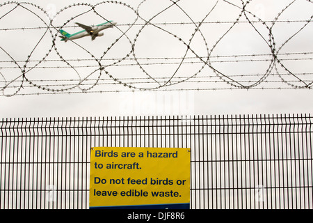 Zeichen über Vogel schlägt am Sicherheitszaun am Flughafen Manchester, UK. Stockfoto