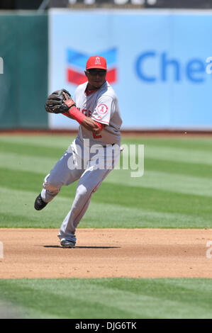 11. Juli 2010 - Oakland, CA, USA - 11. Juli 2010; Oakland, Kalifornien, USA; Engel SS Erick Aybar (2) fängt den Ball in das Spiel am Sonntag. Die Leichtathletik schlagen die Engel 5-2. (Kredit-Bild: © Scott Beley/Southcreek Global/ZUMApress.com) Stockfoto