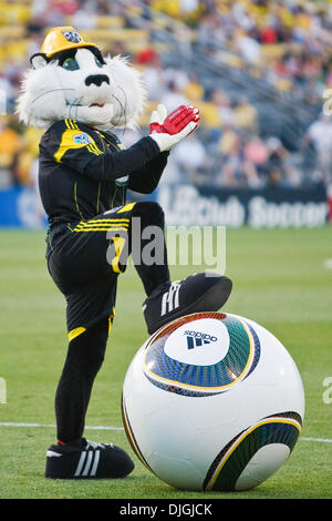 24. Juli 2010 - Columbus, Ohio, Vereinigte Staaten von Amerika - 24. Juli 2010: Crew Maskottchen '' Crew Katze '' schlägt eine Pose bei Halbzeit-Aktivitäten.  Die Columbus Crew besiegte Houston Dynamo 3: 0 bei Crew Stadium in Columbus, Ohio.   . Obligatorische Credit: Scott W. Grau / Southcreek Global (Kredit-Bild: © Southcreek Global/ZUMApress.com) Stockfoto