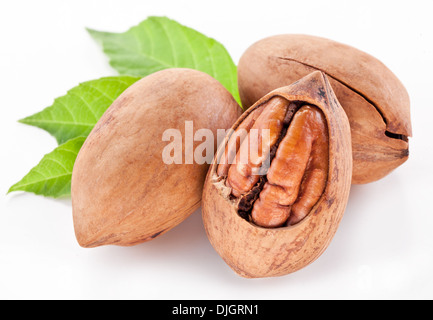 Pekannüsse mit Blättern isoliert auf einem weißen Hintergrund. Stockfoto