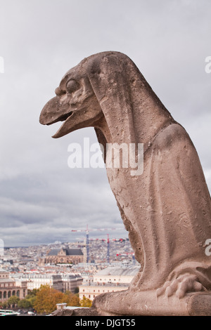 Einer der berühmten Wasserspeier der Kathedrale Notre Dame de Paris. Stockfoto