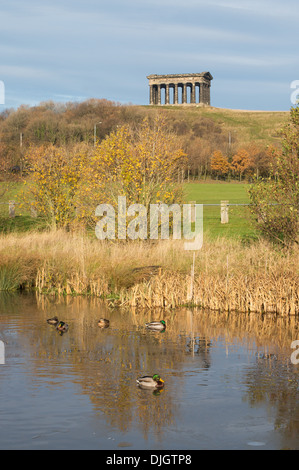 Penshaw Monument, North East England, Großbritannien Stockfoto