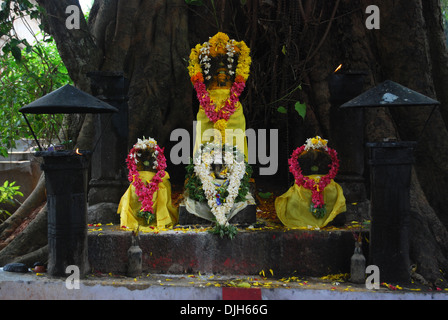 Kaavu oder Schlange Tempel in Südindien Stockfoto