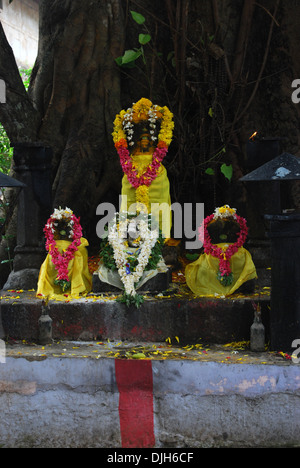 Kaavu oder Schlange Tempel in Südindien Stockfoto