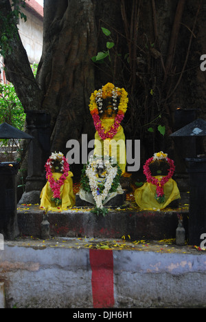 Kaavu oder Schlange Tempel in Südindien Stockfoto