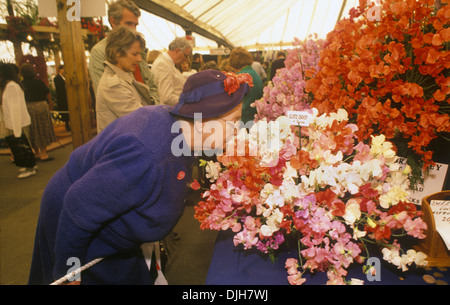 Chelsea Flower Show London 1980er Jahre. Britische Frau riecht den Duft einer Rosen 1985 HOMER SYKES Stockfoto