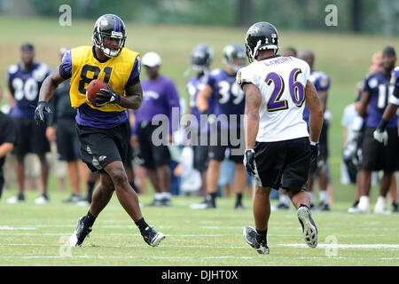 3. August 2010 - Westminster, Maryland, Vereinigte Staaten von Amerika - 3. August 2010: Baltimore Ravens Wide Receiver Anquan Boldin (81) und Sicherheit Dawan Landry (26) in Aktion während Ravens Trainingslager am McDaniel College in Westminster, MD... Obligatorische Credit: Russell Tracy / Southcreek Global (Kredit-Bild: © Southcreek Global/ZUMApress.com) Stockfoto