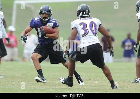 3. August 2010: Baltimore Ravens Wide Receiver David Reed (16) schneidet vorbei Baltimore Ravens Cornerback Marcus Pascha (30) während Ravens Trainingslager am McDaniel College in Westminster, MD... Obligatorische Credit: Russell Tracy / Southcreek Global (Kredit-Bild: © Russell Tracy/Southcreek Global/ZUMApress.com) Stockfoto