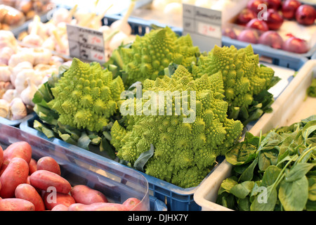 Marktstand mit römischen Blumenkohl Stockfoto