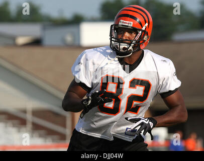 4. August 2010: Cincinnati Bengals-Tight-End Reggie Kelly (82) läuft eine Pass Route im training camp Action von Georgetown KY (Credit-Bild: © Wayne Litmer/Southcreek Global/ZUMApress.com) Stockfoto