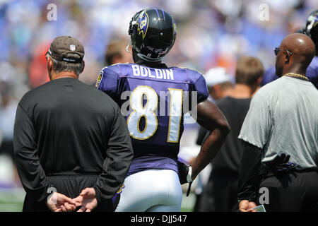 7. August 2010 - Baltimore, Maryland, Vereinigte Staaten von Amerika - 7. August 2010: Baltimore Ravens Wide Receiver Anquan Boldin (81) im Trainingslager im M & T Bank Stadium in Baltimore, MD. Raben... Obligatorische Credit: Russell Tracy / Southcreek Global (Kredit-Bild: © Southcreek Global/ZUMApress.com) Stockfoto