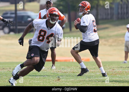 10. August 2010 - Georgetown, Kentucky, Vereinigte Staaten von Amerika - 8 August 2010:Cincinnati Bengals QB Carson Palmer (#9) während der zweiten Sitzung des Bengals Trainingslagers in Georgetown, Kentucky. Obligatorische Credit: Jon Longo / Southcreek Global (Kredit-Bild: © Southcreek Global/ZUMApress.com) Stockfoto