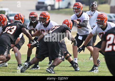 10. August 2010 - Georgetown, Kentucky, Vereinigte Staaten von Amerika - 8. August 2010: 1. Team-Aktion während der zweiten Sitzung des Bengals Trainingslagers in Georgetown, Kentucky. Obligatorische Credit: Jon Longo / Southcreek Global (Kredit-Bild: © Southcreek Global/ZUMApress.com) Stockfoto