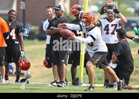 10. August 2010 - Georgetown, Kentucky, Vereinigte Staaten von Amerika - 8 August 2010:Cincinnati Bengals P Kevin Huber (#10) während der zweiten Sitzung des Bengals Trainings in Georgetown, Kentucky. Obligatorische Credit: Jon Longo / Southcreek Global (Kredit-Bild: © Southcreek Global/ZUMApress.com) Stockfoto