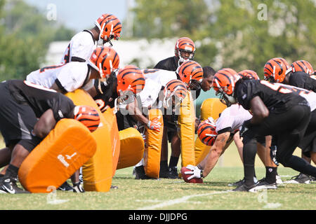 10. August 2010 - Georgetown, Kentucky, Vereinigte Staaten von Amerika - 8 August 2010:Second Sitzung des Bengals Trainingslagers in Georgetown, Kentucky. Obligatorische Credit: Jon Longo / Southcreek Global (Kredit-Bild: © Southcreek Global/ZUMApress.com) Stockfoto