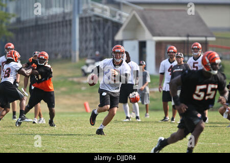 10. August 2010 - Georgetown, Kentucky, Vereinigte Staaten von Amerika - 8 August 2010:Cincinnati Bengals QB Carson Palmer (#9) während der zweiten Sitzung des Bengals Trainingslagers in Georgetown, Kentucky. Obligatorische Credit: Jon Longo / Southcreek Global (Kredit-Bild: © Southcreek Global/ZUMApress.com) Stockfoto