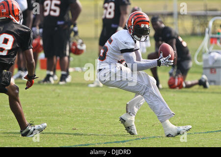 10. August 2010 - Georgetown, Kentucky, Vereinigte Staaten von Amerika - 8 August 2010:Cincinnati Bengals WR Chad Ochoconco (#85) während der zweiten Sitzung des Bengals Trainingslagers in Georgetown, Kentucky. Obligatorische Credit: Jon Longo / Southcreek Global (Kredit-Bild: © Southcreek Global/ZUMApress.com) Stockfoto