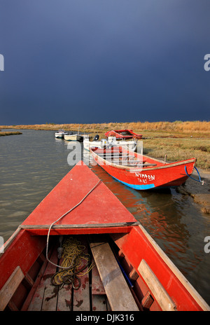 Bootsfahrt am Delta des Evros-Fluss, Thrakien (Thrakien), Griechenland. Stockfoto