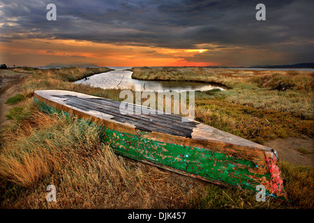 Traditionelle Plava (Flachboden Boot von den seichten Gewässern) am Delta des Evros-Fluss, Thrakien, Griechenland. Stockfoto