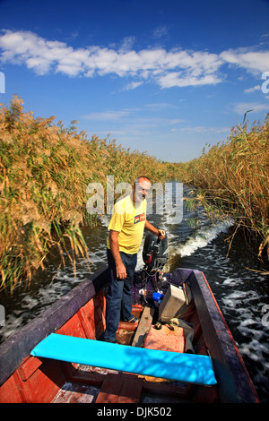 Bootsfahrt am Delta des Evros-Fluss, Thrakien (Thrakien), Griechenland. Stockfoto