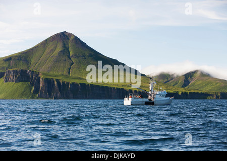 Die F/V Glück Taube kommerzieller Heilbutt fischen In Ikatan Bay in der Nähe von False Pass auf Unimak Island, Südwest-Alaska, Sommer. Stockfoto