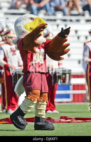 10. September 2010 - führt Chestnut Hill, Massachusetts, Vereinigte Staaten von Amerika - Boston College Eagles Maskottchen Baldwin die Fans in ein hoch aus dem Bereich bevor das Team aufs Feld lief.  Boston College Eagles besiegte die Kent State Golden Blitze 26 - 13. (Kredit-Bild: © Mark Box/Southcreek Global/ZUMApress.com) Stockfoto