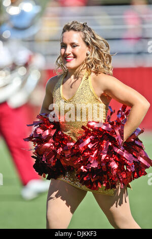 10. September 2010 - Chestnut Hill, Massachusetts, Vereinigte Staaten von Amerika - Boston College Eagles Cheerleader während der Pre-game Festlichkeiten im Alumni-Stadion.  Boston College Eagles besiegte die Kent State Golden Blitze 26 - 13. (Kredit-Bild: © Mark Box/Southcreek Global/ZUMApress.com) Stockfoto