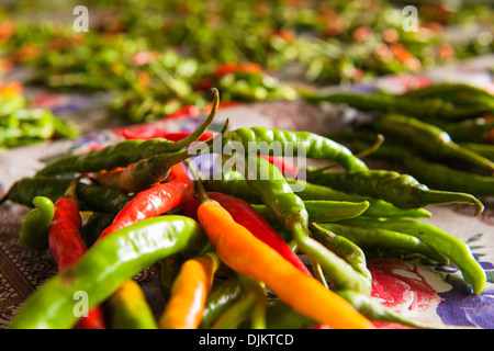 Nahaufnahme von Haufen von Chilis in Suva Stadtmarkt, einem großen Obst- und Gemüsemarkt in der Hauptstadt. Suva, Fidschi. Stockfoto