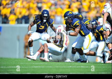 18. September 2010 befasst sich - Morgantown, West Virginia, Vereinigte Staaten von Amerika - Westvirginia Sydney Glover Marylands Jamaar Robinson in der ersten Hälfte bei Mountaineer Field.  West Virginia führt Maryland mit einem Score von 21-0 zur Halbzeit. (Kredit-Bild: © Brian befreit/Southcreek Global/ZUMApress.com) Stockfoto