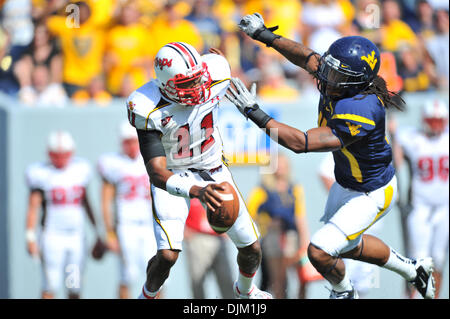 18. September 2010 - Morgantown, West Virginia, Vereinigte Staaten von Amerika - Westvirginia Bruce Irvin gilt Druck für Maryland Quarterback Jamaar Robinson in der zweiten Hälfte des Spiels am Samstag.  West Virginia besiegte Maryland mit einem Score von 31 bis 17. (Kredit-Bild: © Brian befreit/Southcreek Global/ZUMApress.com) Stockfoto